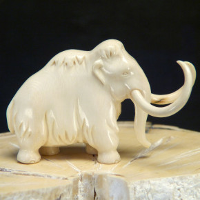 Mammut mit tollen Färbungen