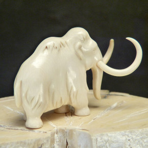 Mammut mit tollen Färbungen