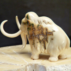 Mammut mit tollen Färbungen