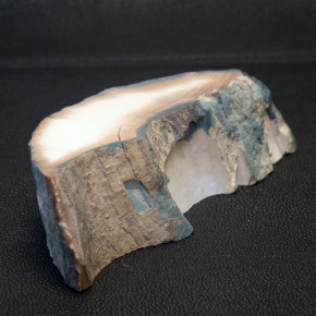 Mammut-Abschnitt mit tollen Färbungen ca. 32mm dick