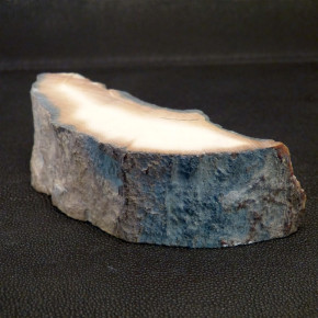 Mammut-Abschnitt mit tollen Färbungen ca. 32mm dick