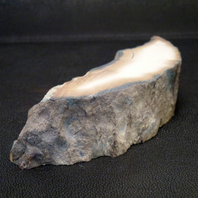 Mammut-Abschnitt mit tollen Färbungen ca. 32mm dick