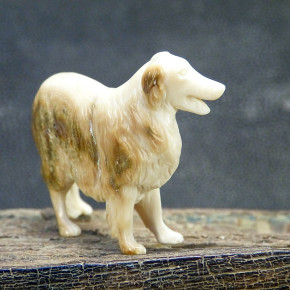 russischer Windhund mit schönen Färbungen