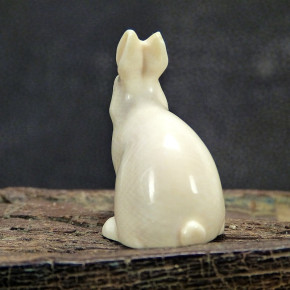 Hase sitzend