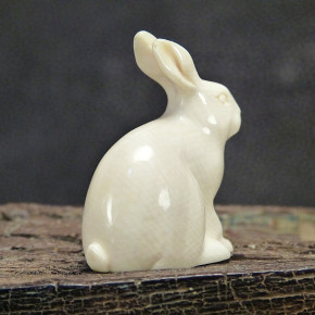 Hase sitzend