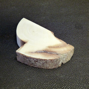 Mammut-Abschnitt ca. 78 x 46 x 13 mm