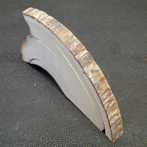 Mammut-Scheibe ca. 109x57x10 bis 8mm