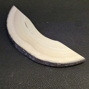 Mammut-Bogensegment ca. 124x32x10 bis 4mm