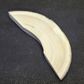 Mammut-Bogensegment ca. 124x32x10 bis 4mm