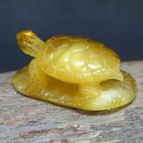 Schildkröte aus Naturbernstein