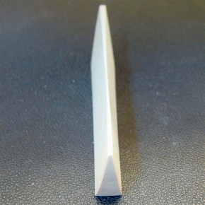 Mammut-Querschnitt ca. 91x25,5 x 9 bis 1mm