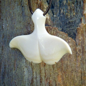 Walfluke mit Zahnschmelz