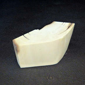 Mammut-Abschnitt ca. 45x85x33mm