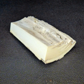 Mammut-Abschnitt ca. 81x48x16-25mm
