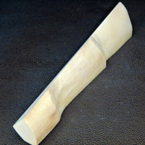Mammut-Abschnitt ca. 147mm lang