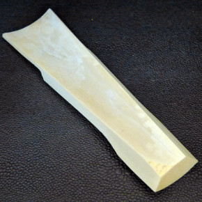 Mammut-Abschnitt ca. 147mm lang