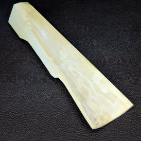 Mammut-Abschnitt ca. 147mm lang
