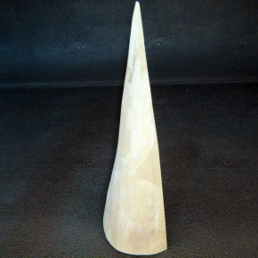 Mammut-Abschnitt aus dem Kern ca. 145mm