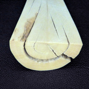Mammut-Abschnitt aus dem Kern ca. 145mm