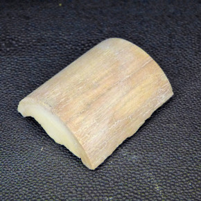 Mammut-Abschnitt ca. 47mm lang