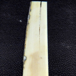 Mammut-Zuschnitt ca. 92x16,5x14-19mm