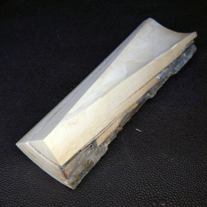 Mammut-Abschnitt ca. 147x43x12-41mm