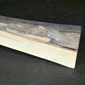 Mammut-Abschnitt ca. 147x43x12-41mm