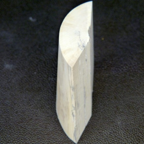 Mammut-Abschnitt ca. 57x56-64x17-23mm