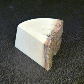 Mammut-Abschnitt ca. 37x43x35mm