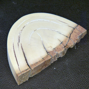 Mammut-Keilscheibe ca. 91x62x15-21mm