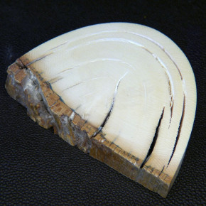 Mammut-Keilscheibe ca. 91x62x15-21mm