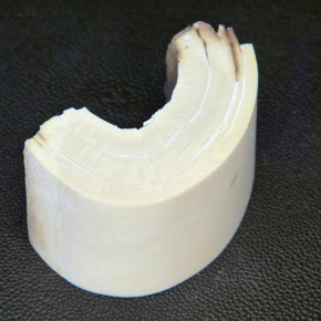 Mammut-Bogenabschnitt ca.65x33x20mm
