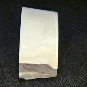Mammut-Bogenabschnitt ca.65x33x20mm