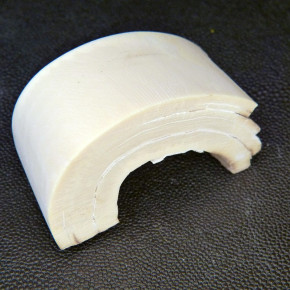 Mammut-Bogenabschnitt ca.65x33x20mm