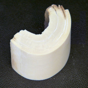 Mammut-Bogenabschnitt ca.65x33x20mm