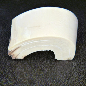 Mammut-Bogenabschnitt ca.65x33x20mm