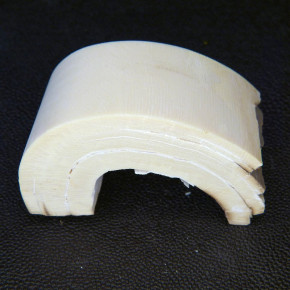 Mammut-Bogenabschnitt ca.65x33x20mm