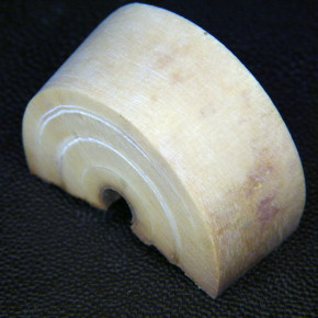 Mammut-Bogenabschnitt ca. 50x33x22mm