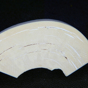 Mammut-Bogenabschnitt ca. 84x33x15-17,5mm