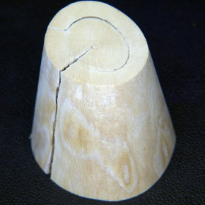 Mammut-Kegel aus dem Kern ca. 56x31x46mm