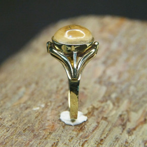 Goldring 585/- mit Mammutrinde W18,1