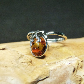 zarter Silberring mit Bernstein Größe 51 (Ø ca. 16,3 mm)