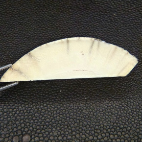 Mammut-Zuschnitt ca. 60x17,5x17mm