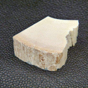 Mammut-Zuschnitt ca.22x24x17mm