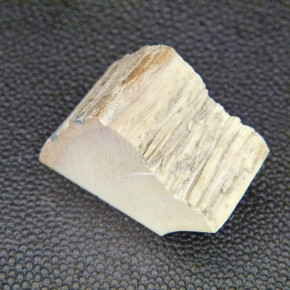 Mammut-Zuschnitt ca.22x24x17mm