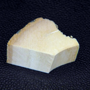 Mammut-Zuschnitt ca.22x24x17mm