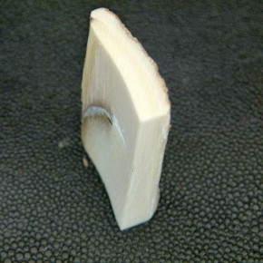 Mammut-Rindenplatte ca.50x27x10,5-7mm