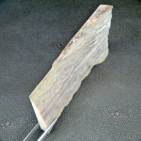 Mammut-Platte mit Bruchkante ca.109x63x11mm