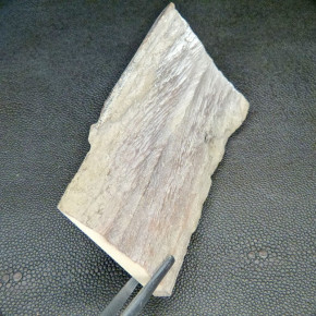 Mammut-Platte mit Bruchkante ca.109x63x11mm