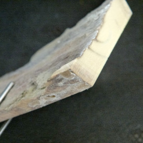 Mammut-Platte mit Bruchkante ca.109x63x11mm